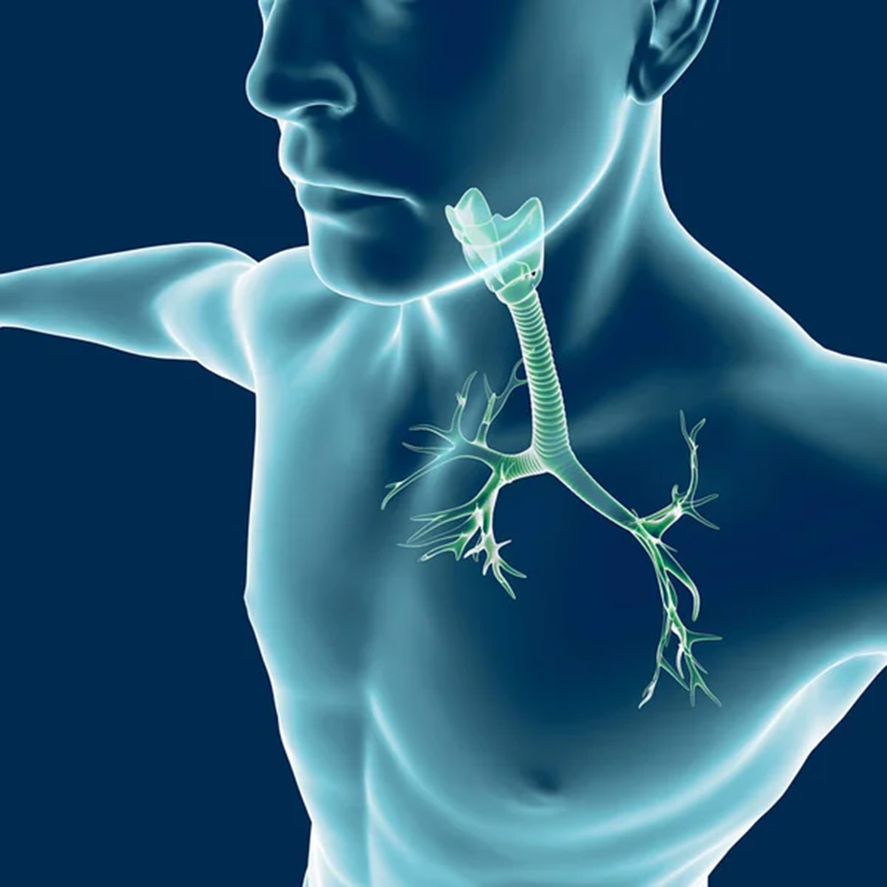Unspezifische bronchiale Provokation